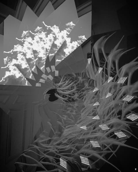 Diode Dreams 33